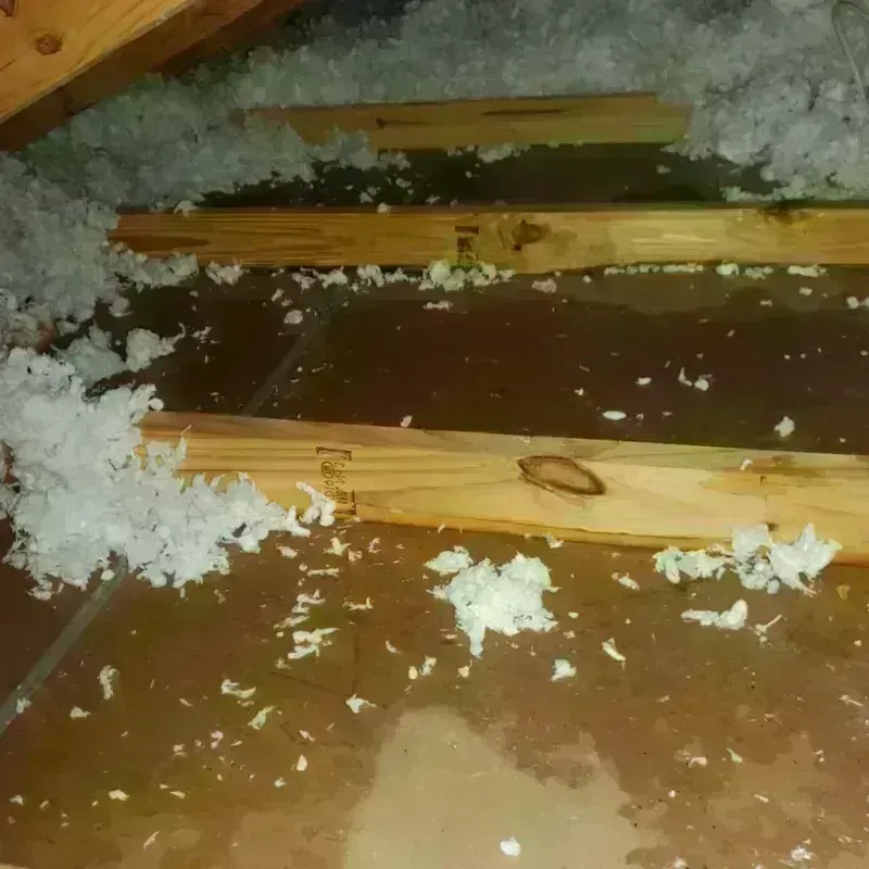 Attic Water Damage in Onion Creek, TX